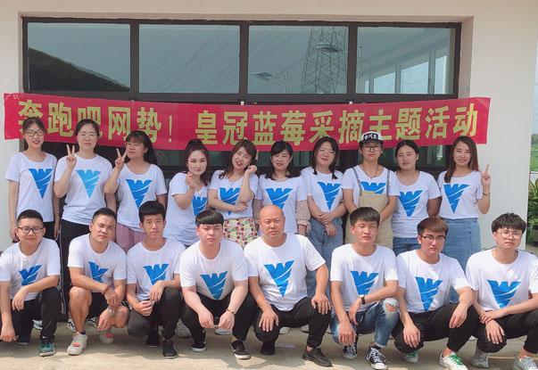 【奔跑吧網(wǎng)勢！】藍(lán)莓采摘主題團(tuán)建活動(dòng)